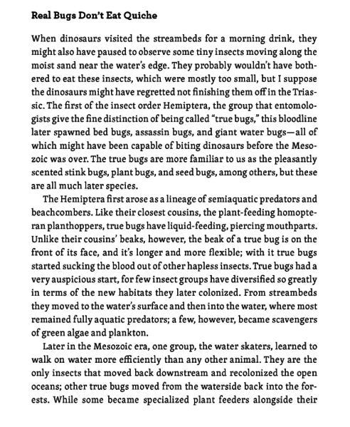 File:FF2 Planet of the bugs P126.PNG
