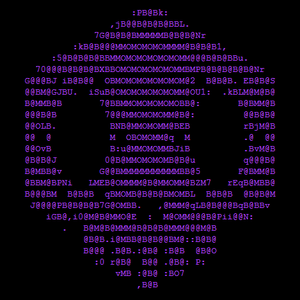 Sombra skull.png